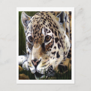 Cheetah Painting  Postcard