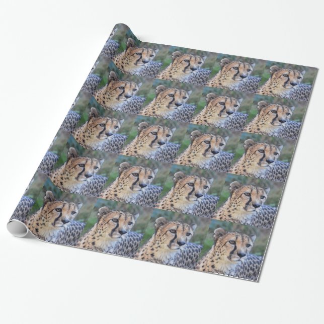 Cheetah Photo Wrapping Paper (Unrolled)