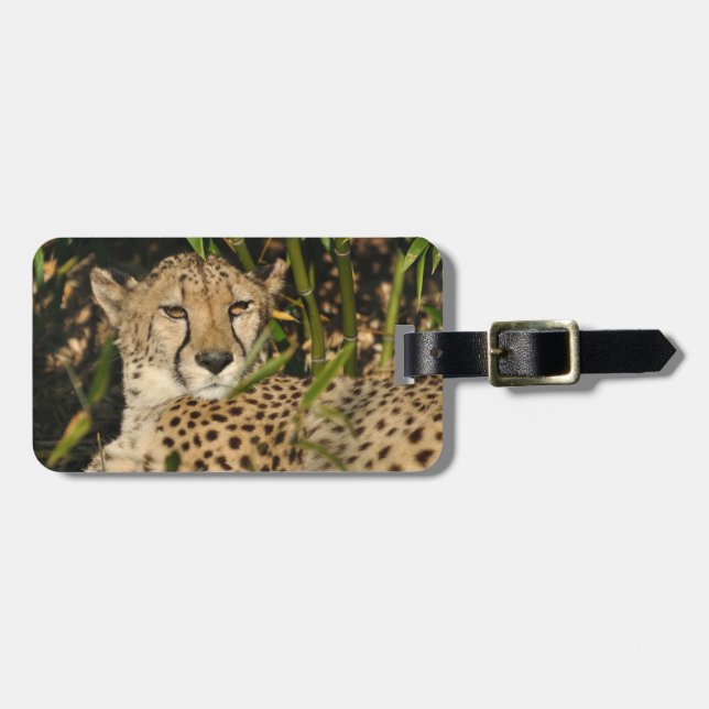 Cheetah photograph luggage tag (Front Horizontal)