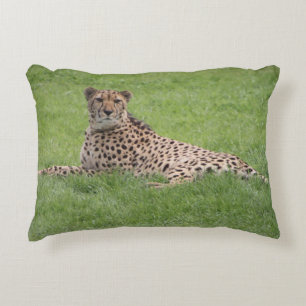 Cheetah Pillow