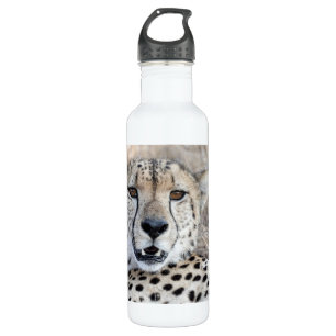 Cheetah Portrait 710 Ml Water Bottle