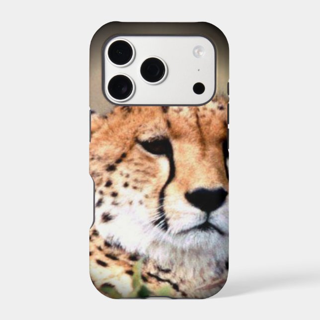 Cheetah Portrait by Full Moon: Nature's Grace (Back)