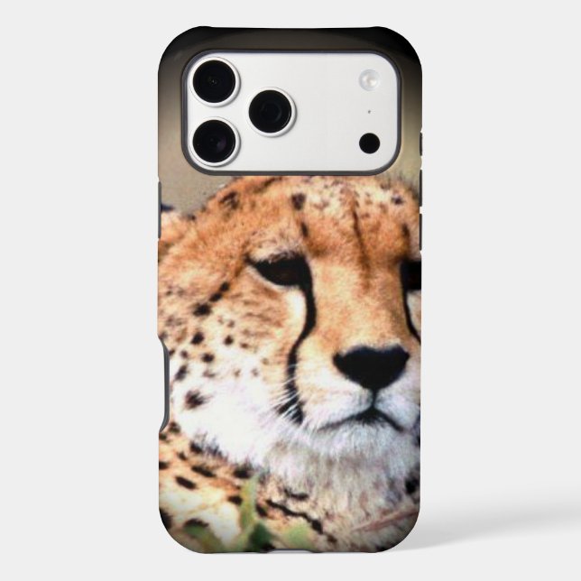 Cheetah Portrait by Full Moon: Nature's Grace (Back)