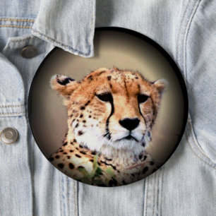 Cheetah Portrait by Full Moon: Nature's Grace 6 Cm Round Badge