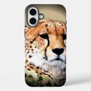 Cheetah Portrait by Full Moon: Nature's Grace iPhone 16 Plus Case