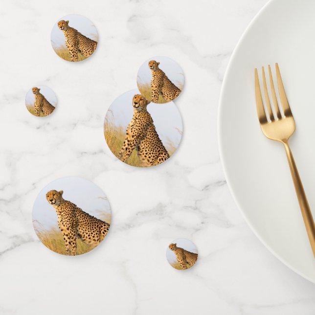 Cheetah Portrait Confetti (Group)