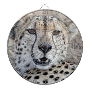 Cheetah Portrait Dartboard