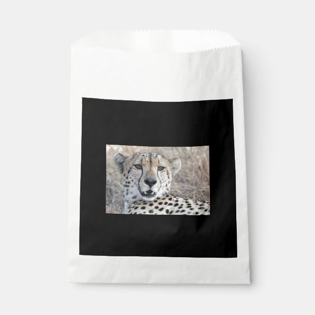 Cheetah Portrait Favour Bags (Front)