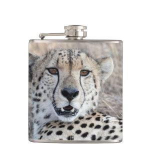 Cheetah Portrait Hip Flask