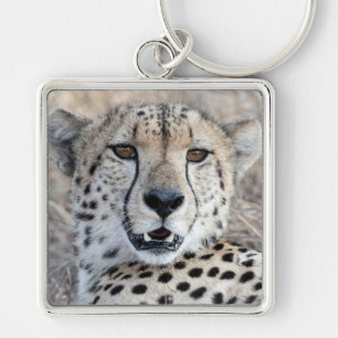 Cheetah Portrait Key Ring