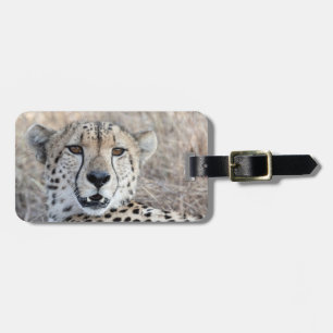 Cheetah Portrait Luggage Tag