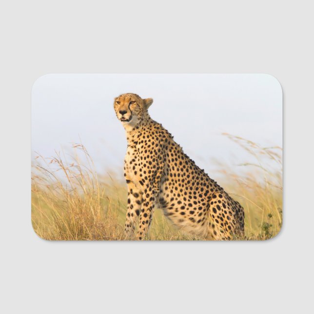Cheetah Portrait Name Tag (Front)