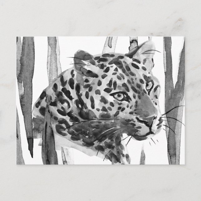 Cheetah Portrait Postcard (Front)