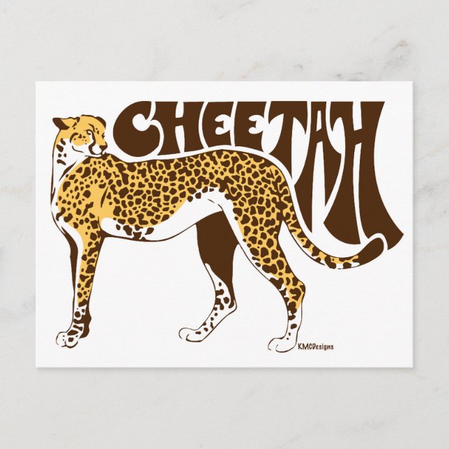 Cheetah Postcard (Front)