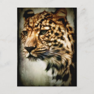 Cheetah Postcard