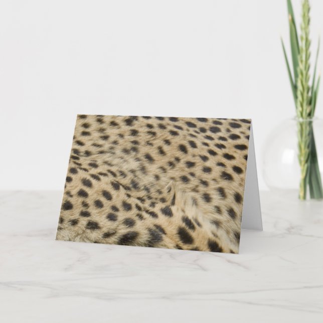 Cheetah Print Card (Front)