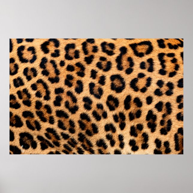 Cheetah print texture (Front)