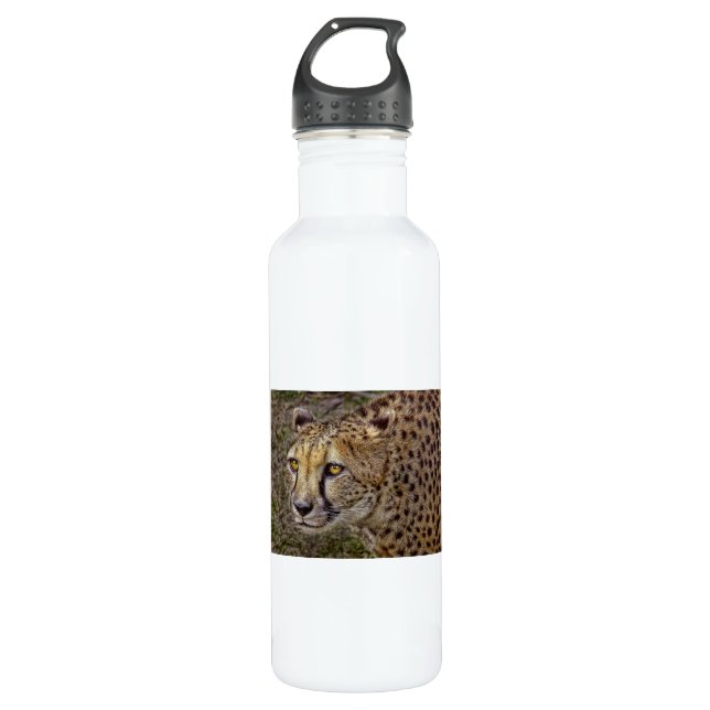Cheetah Profile 710 Ml Water Bottle (Front)