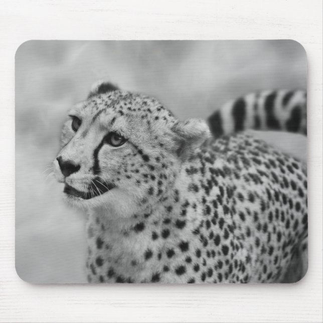 Cheetah profile mouse pad (Front)