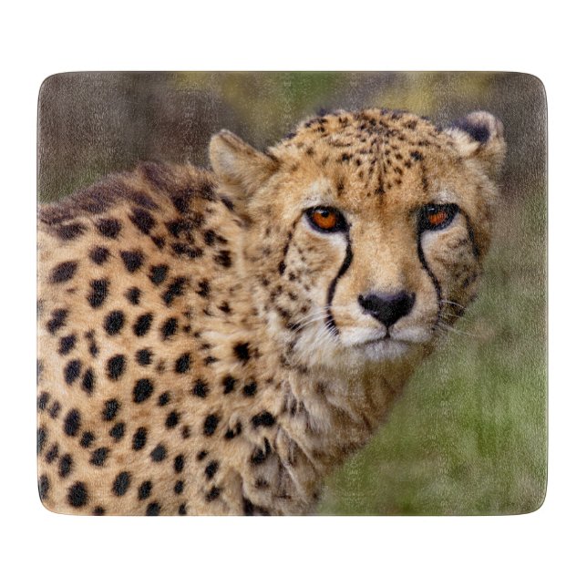 Cheetah Rectangular Cutting Board (Front)