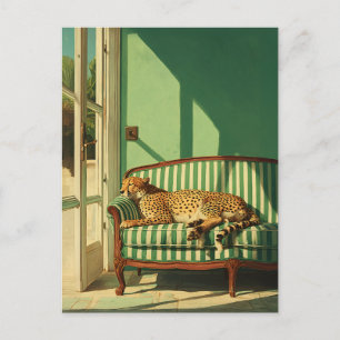 Cheetah Resting in Sunlit Room Postcard