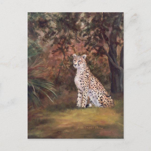 Cheetah Sitting Proud Postcard (Front)
