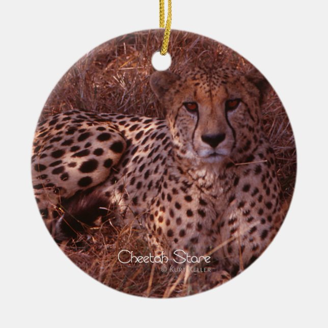 Cheetah Stare Ceramic Tree Decoration (Front)