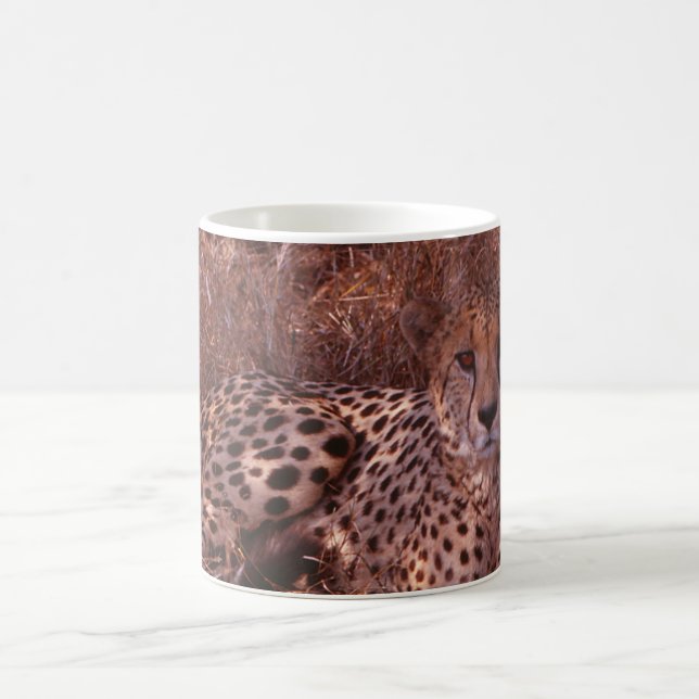 Cheetah Stare Coffee Mug (Center)