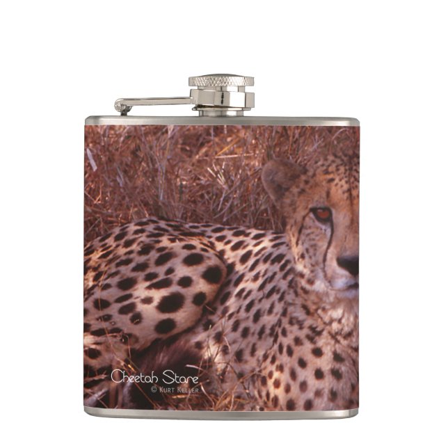 Cheetah Stare Hip Flask (Front)