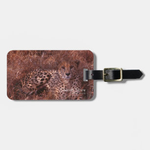 Cheetah Stare Luggage Tag