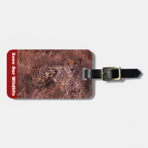 Cheetah Stare Luggage Tag