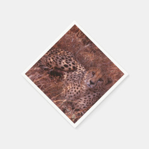 Cheetah Stare Napkin