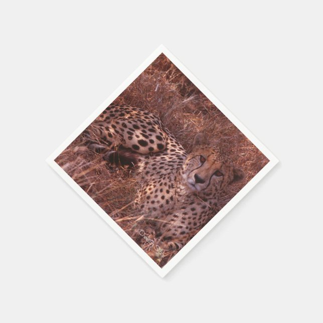 Cheetah Stare Napkin (Corner)