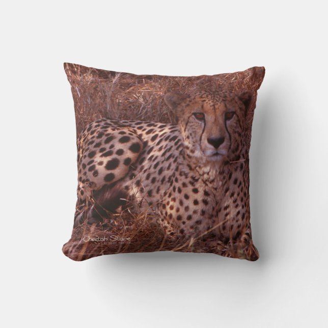 Cheetah Stare Pillow (Front)