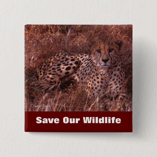 Cheetah Stare Save Our Wildlife 15 Cm Square Badge (Front)