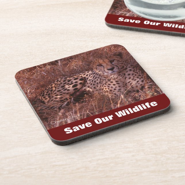 Cheetah Stare Save Our Wildlife Coaster (Left Side)