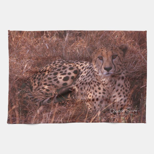 Cheetah Stare Tea Towel (Horizontal)