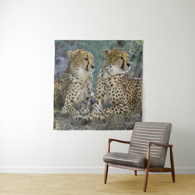 Cheetah Tapestry (In Situ)