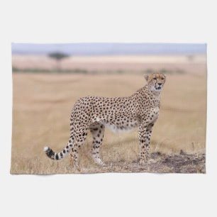 Cheetah Tea Towel