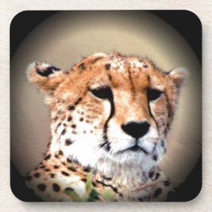 Cheetah Tear Marks Art Print Coaster
