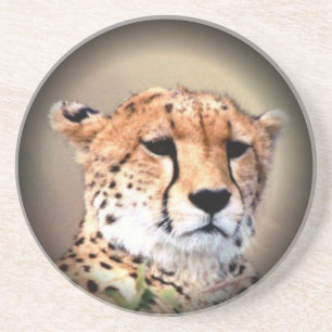 Cheetah Tear Marks Hakunamatata Coaster