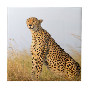 Cheetah Tile
