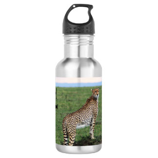 Cheetah water bottle