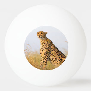 Cheetah wild african animal Big Cat photo Ping Pong Ball