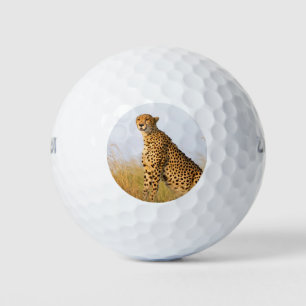 Cheetah wild animal Big Cat photo Golf Balls