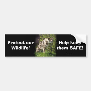 Cheetah Wild Cat Animal-Lover Bumpersticker Bumper Sticker