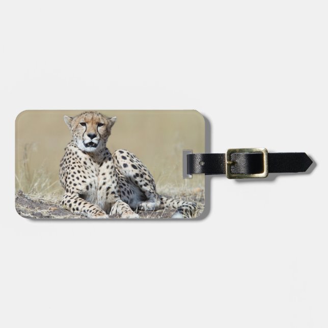 Cheetah wildlife photography Africa Safari animal Luggage Tag (Front Horizontal)