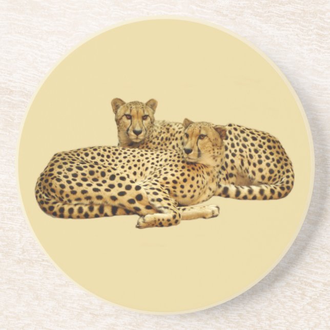 Cheetahs Coaster (Front)