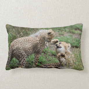 Cheetahs Playing Pillow