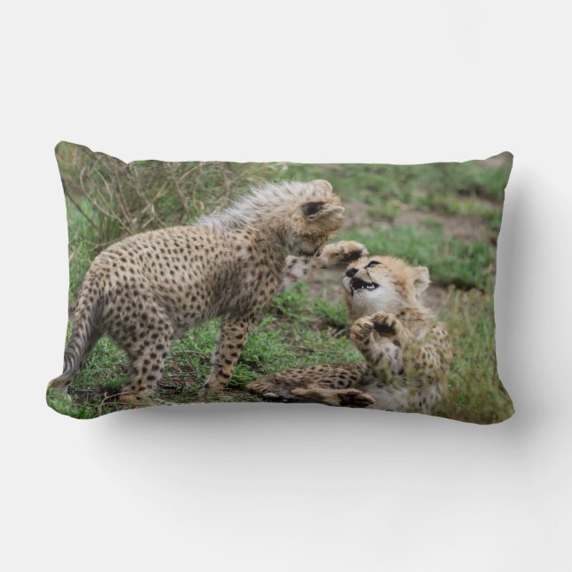 Cheetahs Playing Pillow (Front)